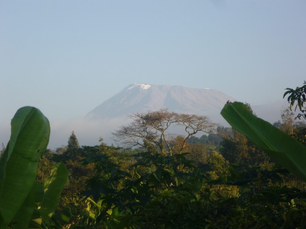 Štastné pracovní ráno ve vesnici Mweka - konečně se zjevila stydlivá kráska jménem Kilimanjaro